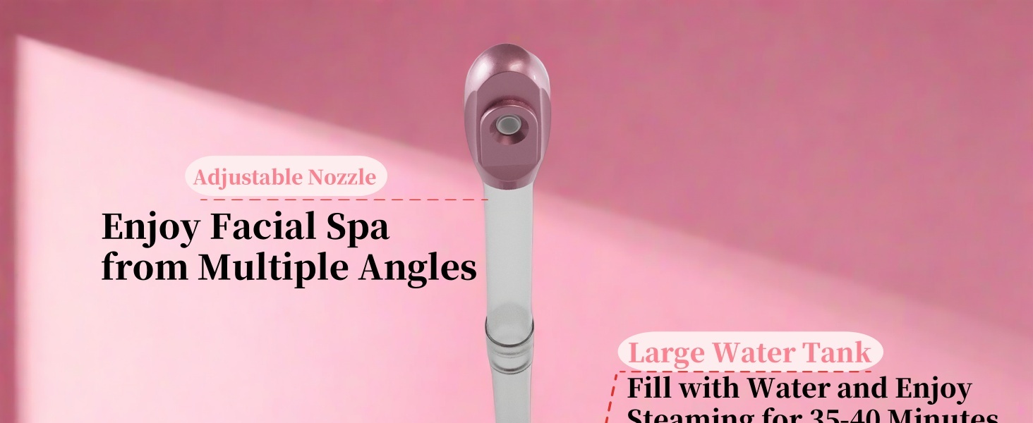 face steamer