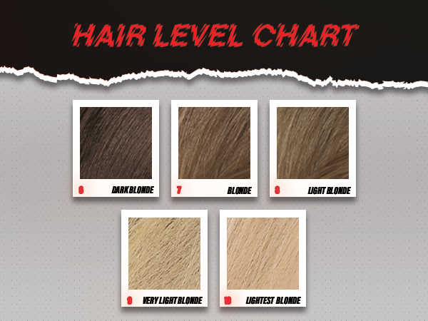 hair level chart