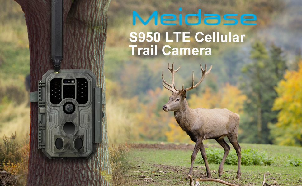 trail camera