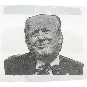 Fairly Odd Novelties Donald Trump Novelty Political Humor Funny Toilet Paper Gag Gift