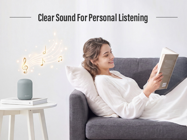 portable bluetooth speaker