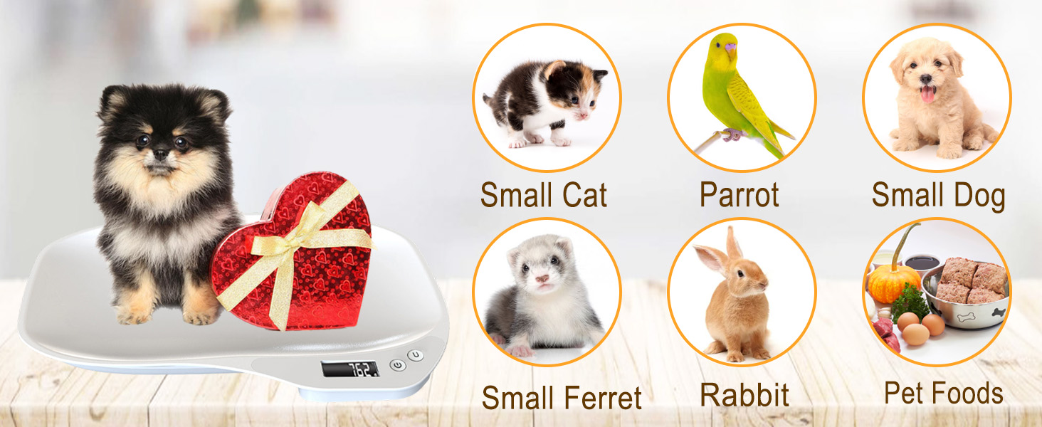 small pet scale