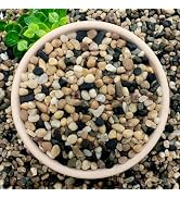 NUPICK 6 lb Aquarium Gravel, 1/4" Ph-Natural Pea Gravel for Fish Tank,Small River Rocks for Plant...