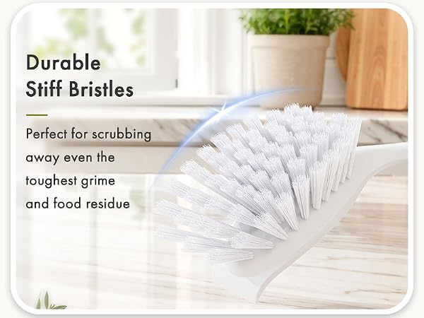dish scrub brush with bristles