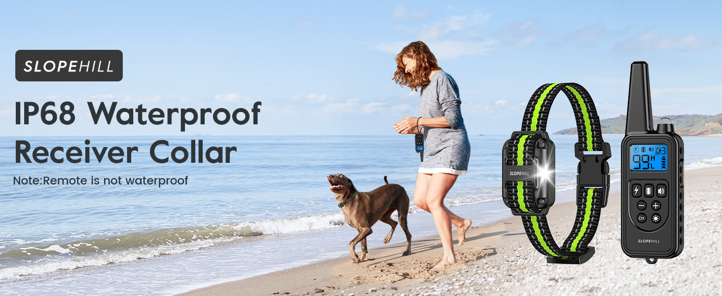 shock collar for dogs