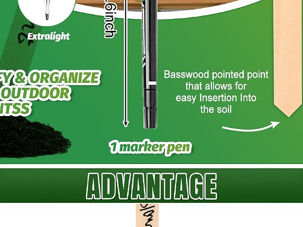 WH0434 50Pcs Wooden Plant Labels