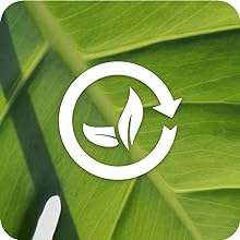 Naturally-derived icon