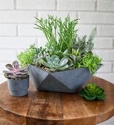 succulent planter, succulent container, succulent plant pot, modern plant pot, indoor plant pot