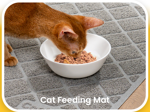 cat litter mat