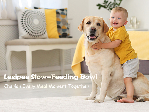 feeding bowl for cat