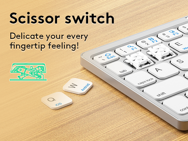 Scissor Switch