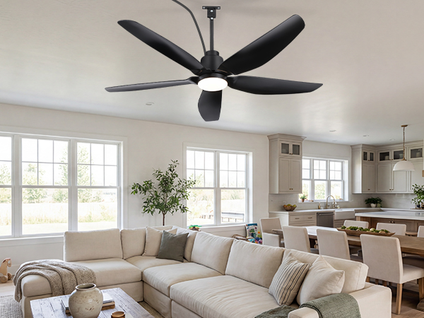 ceiling fan