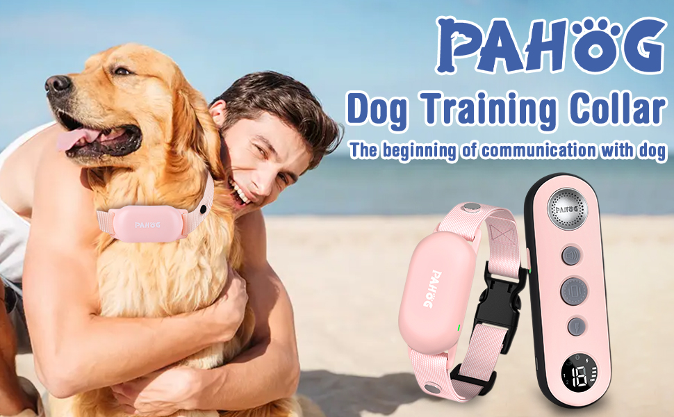 Dog Shock Collar
