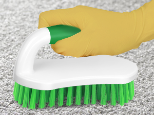 Scrub Brush