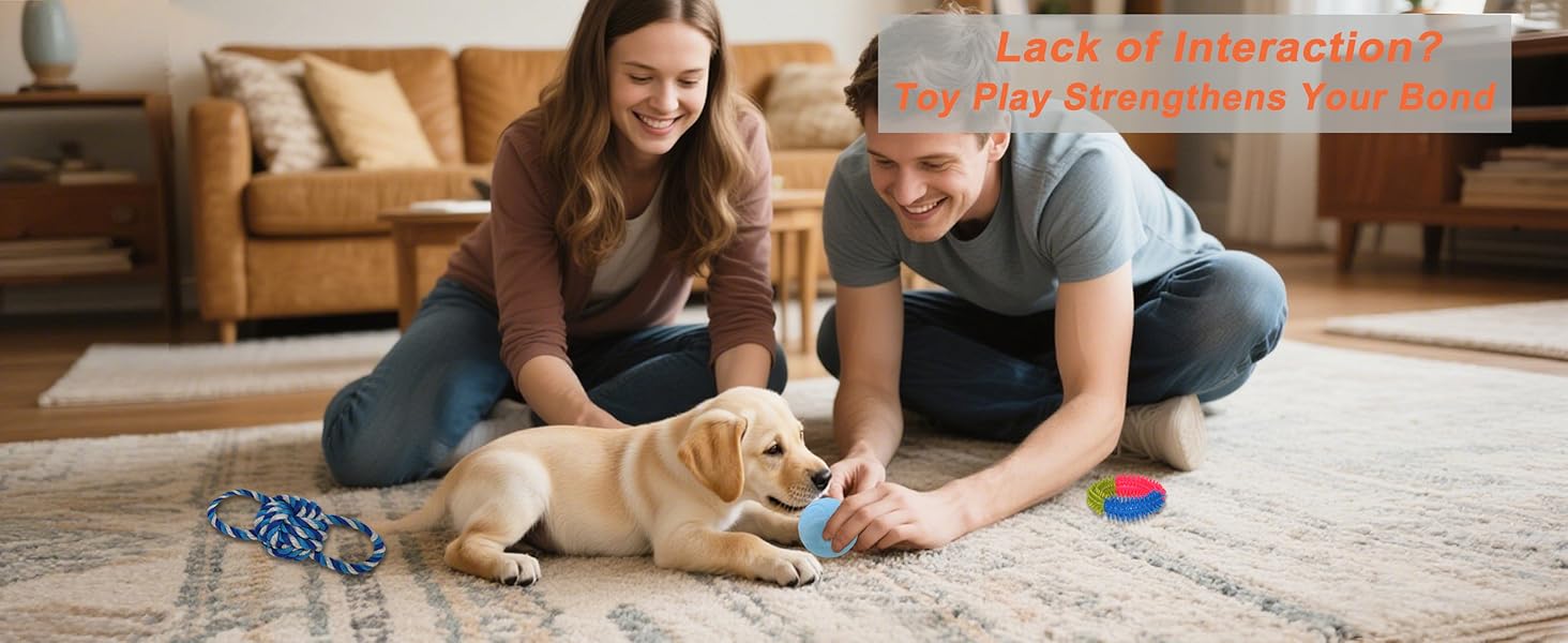 Puppy teething toys 20 pack