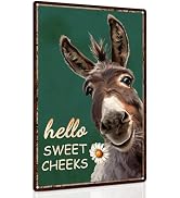 Piemow Funny Donkey Bathroom Metal Sign Vintage Hello Sweet Cheeks Toilet Washroom Wall Decor Uni...