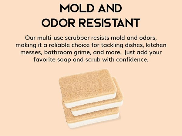 Greenzla Natural Sponges, natural kitchen sponge, dish sponge, plant based, household cleaning