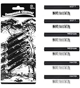MyLifeUNIT Compressed Charcoal, Square Vine Charcoal Sticks for Drawing, Pack of 6 (2 Soft, 2 Med...