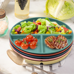 3 compartment Divided Plates