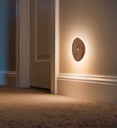 motion sensor light indoor, flower light for hallway