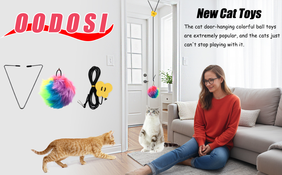 Cat Door Toy