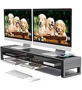 2 Tiers Dual Monitor Stand with Auto Charging Pad, 4 USB 3.0 Hub Ports, Double Monitor Riser, Met...