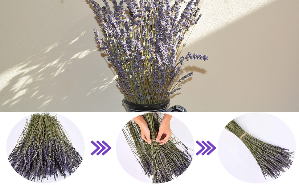 dried lavender