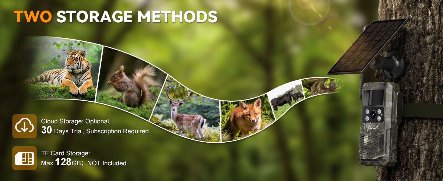 4g wildlife cameras with night vision motion