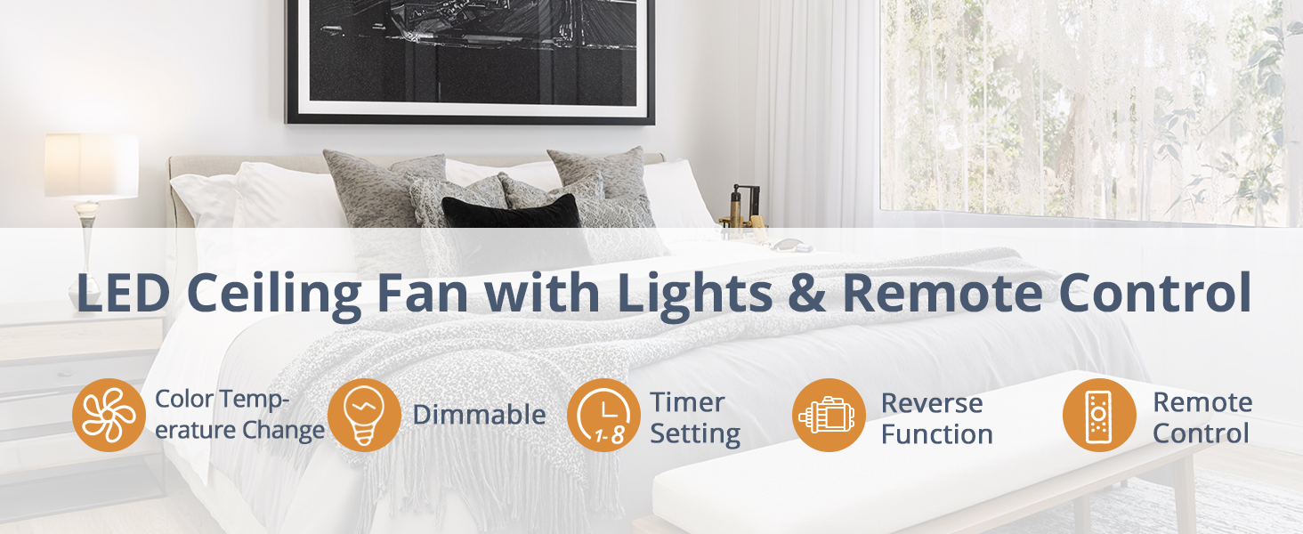 ceiling fan with light