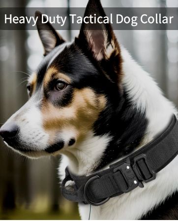 heavey duty tactical dog cllar