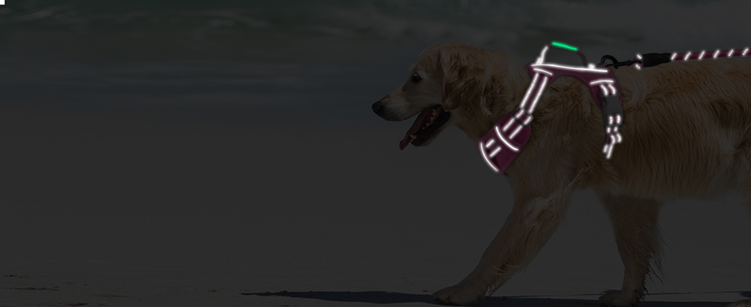 Reflective strips on dog harness for improved visibility at night small large dogs no pull medium