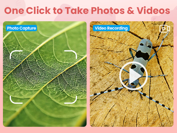 kids Microscope&Magnifying Glass