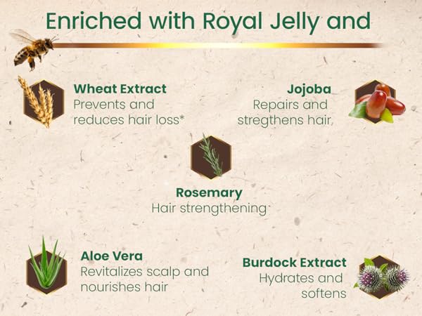Natural ingredients image with royal jelly, rosemary, aloe and wheat for fortified-looking hair