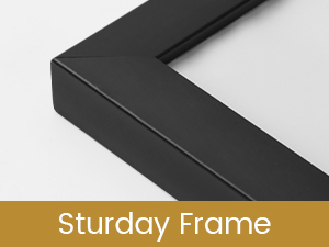 16x20 Photo frames