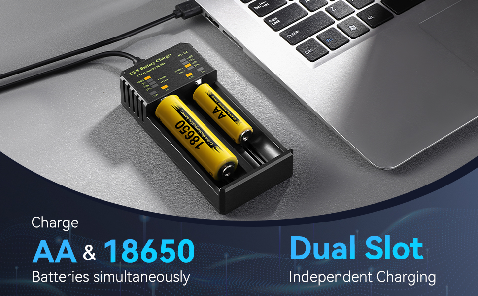 18650 and AA /AAA battery charger