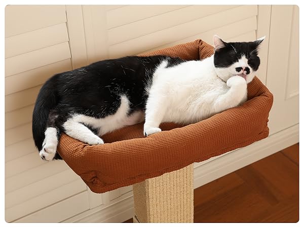 raised cat perch bed