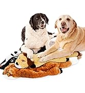 Dog Squeaky Toys No Stuffing