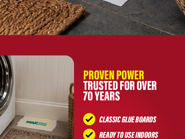 Max-Catch glue board in a laundry room with proven pest control power for over 70 years