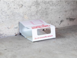 heavy duty spider glue trap