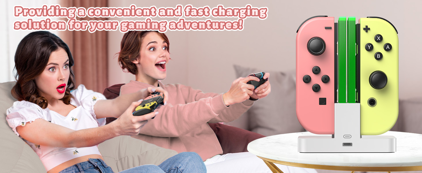 switch pro controller charger