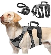 PUPTECK Escape Proof Dog Harness and Leash Set Upgraded No Pull Reflective Dog Vest with Lift Han...