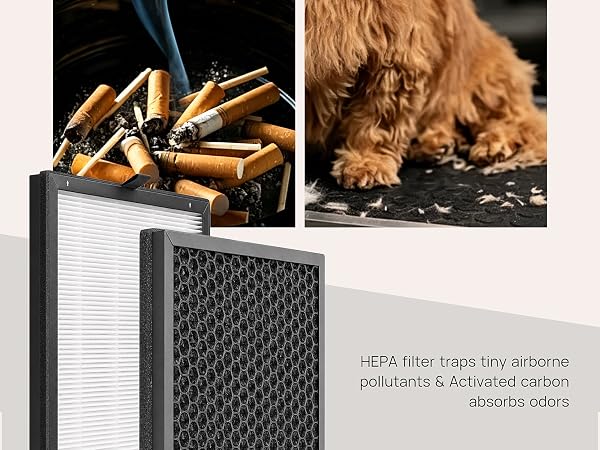 air purifiers for home pets