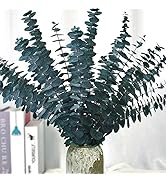 Preserved-Dried-Eucalyptus-Branches,17" 100% Natural Fresh Eucalyptus Plant for Shower, Real Euca...