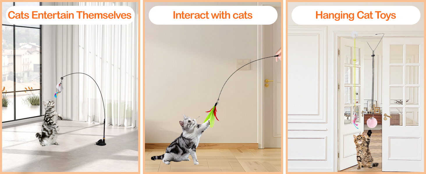 cat toys
