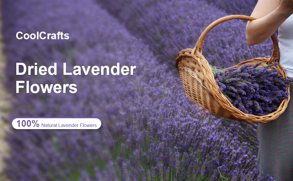 dried lavender flowers
