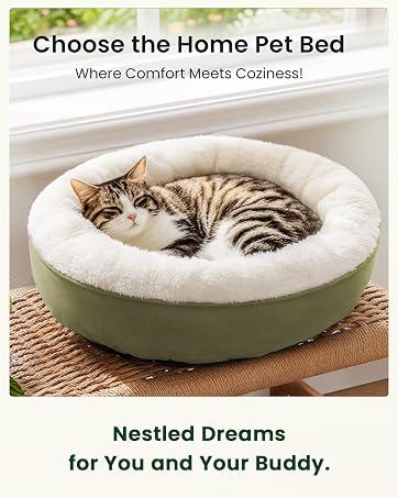pet bed