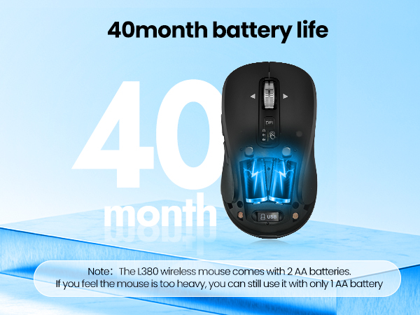 mouse