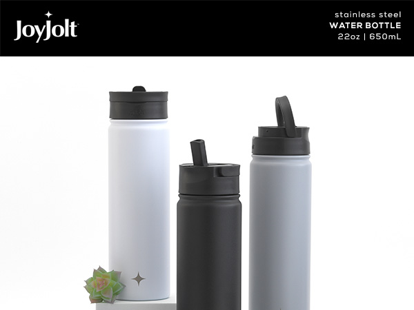 Joyjolt Stainless Steel Water Bottle