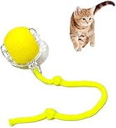 Interactive Cat Toy Ball Automatic Rolling Smart Cat Ball with Tail Motion Activated USB Recharge...