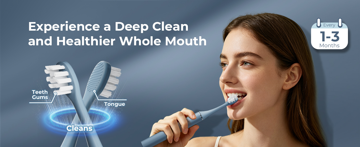 replacement toothbrush heads